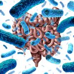 New Research on Genetic Link to Gut Bacteria