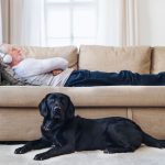 Afternoon Napping for Better Brain Health