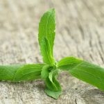 Stevia Performed Better than Antibiotics in Treatment of Lyme Disease