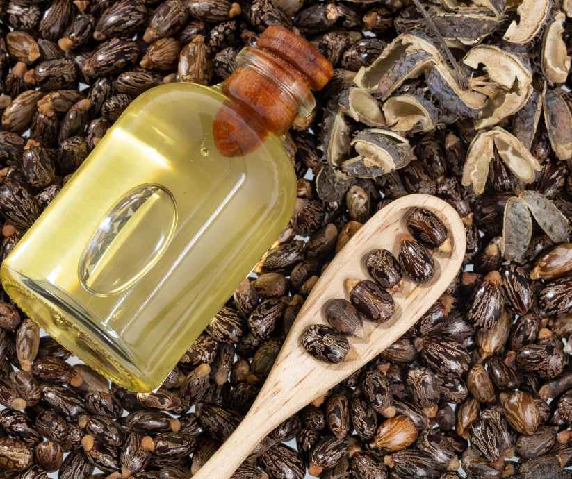 Glass bottle of castor oil on decorative beans with wooden spoon