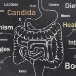 What are Candida Biofilms?