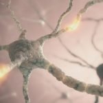 Mysterious Group of Neurons Responsible for Mood Develop During Teen Years