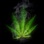 Cannabis Potency is Much Higher than In Previous Generations