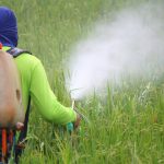Pesticides As Bad As Cigarettes For Children’s Lungs