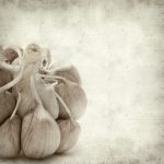 Aged Garlic Lowers Inflammation in the Obese