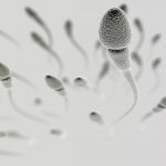 Dysfunctional Sperm Could be Related to Frequent Miscarriages