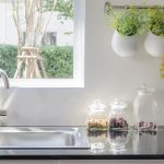 Clear Toxins From Your Home with Plants