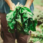 Leafy Greens May Help Maintain Muscle Strength and Mobility