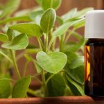 Herbs, Extracts, Essential Oils…Oh My! Examining the “Hormonal Effects” of Essential Oils – Highlighting Sage Oil: Part II