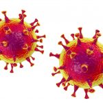 How the Coronavirus Made it From Animals to Humans
