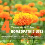 Homeopathic Indications of a Few Common Herbs