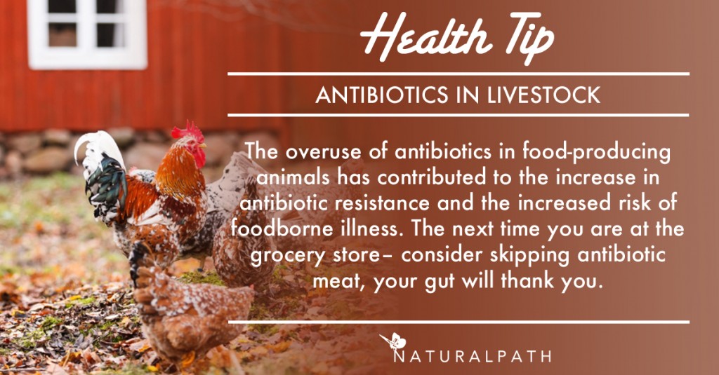 NP TIP antibiotics in livestock