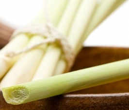 Why Lemongrass and Essential Oil Quality Counts