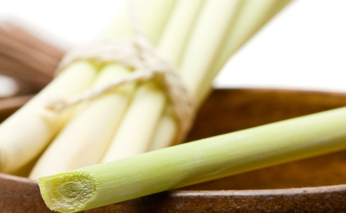 Why Lemongrass and Essential Oil Quality Counts