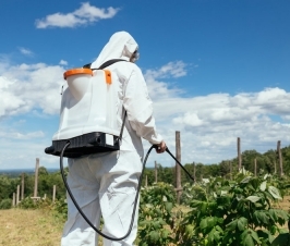 Chronic Kidney Disease and Pesticide Use