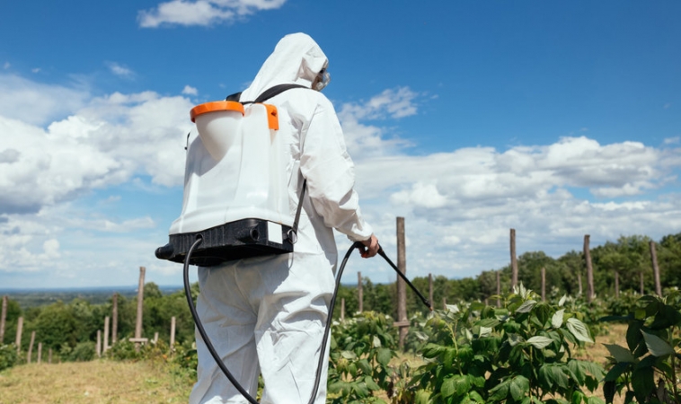 Chronic Kidney Disease and Pesticide Use
