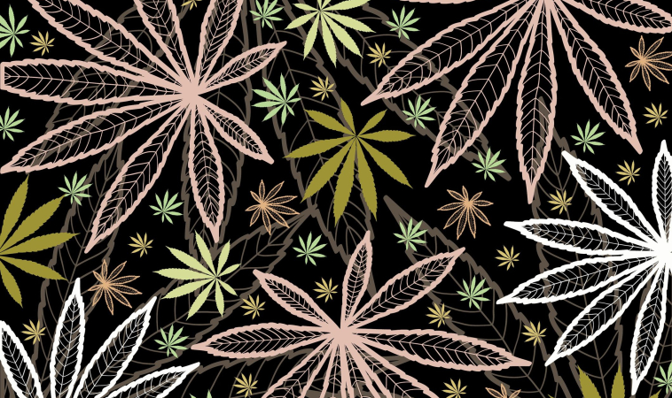 The Cannabis Conundrum: to use or not to use cannabis?