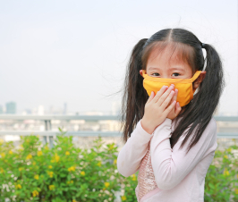 Microorganisms in Bed Dust May Reduce Asthma/Allergy Risk