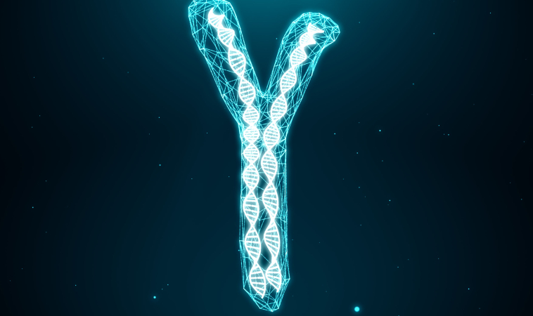 Men’s “Y” Chromosome Does More than Thought