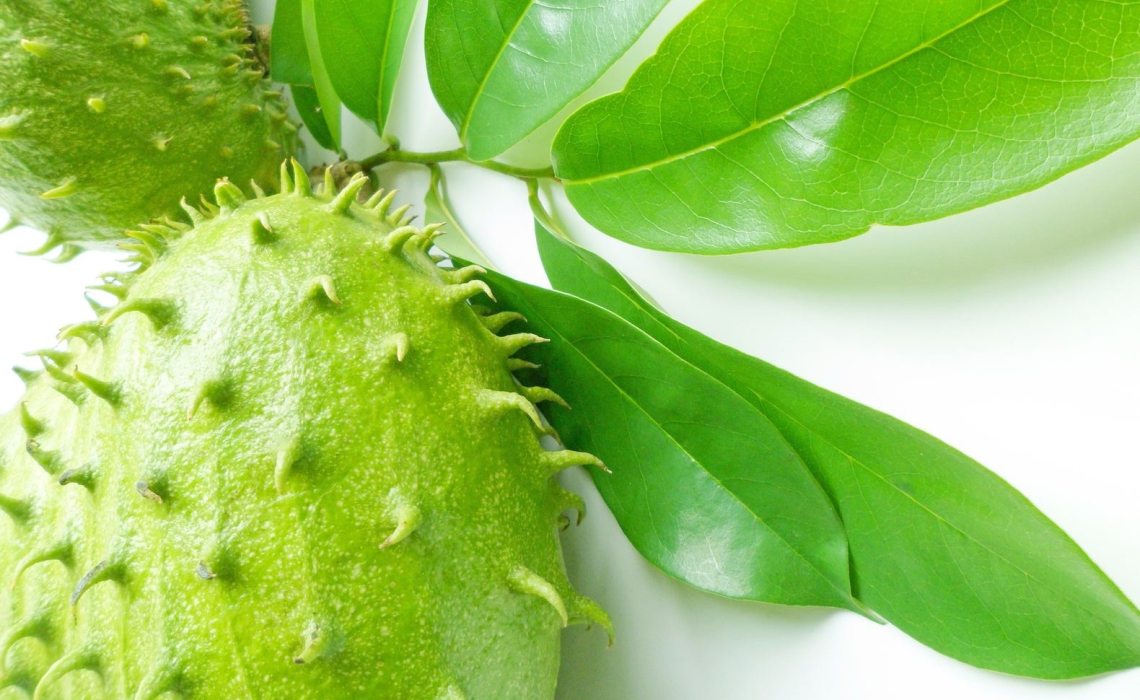 Tropical fruit extract may be effective in combating lung cancer