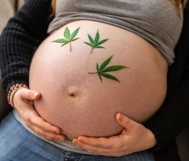 THC May Stay in Breast Milk Up to Six Weeks