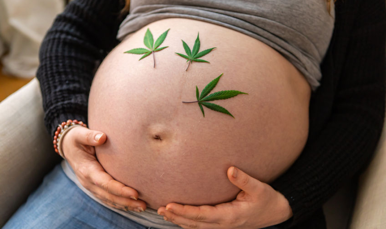 THC May Stay in Breast Milk Up to Six Weeks
