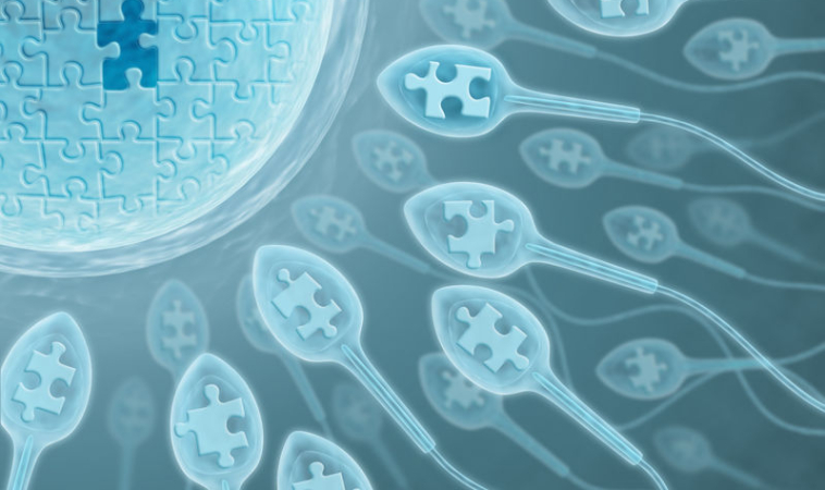 Toxins Also Affect Sperm Health Leading to Epigenetic Changes