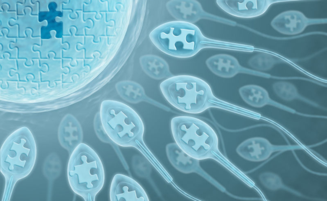 Toxins Also Affect Sperm Health Leading to Epigenetic Changes