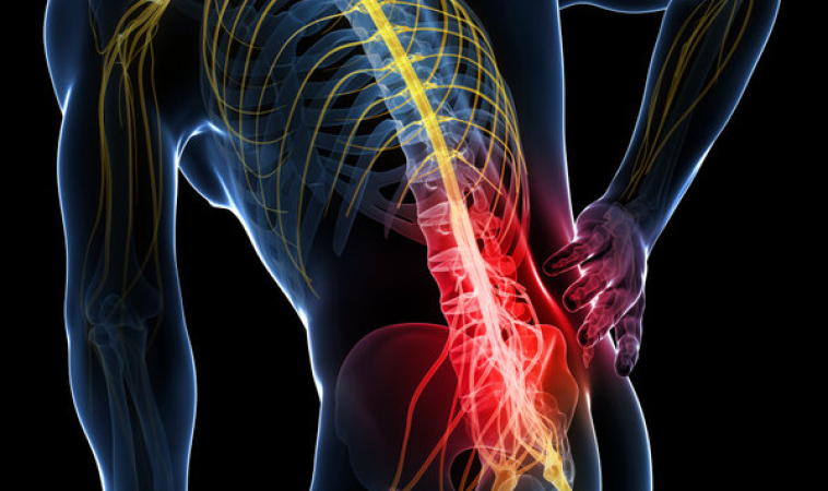 Repairing Severed Spinal Cord Injuries