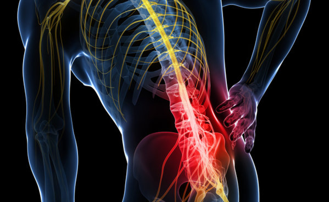 Repairing Severed Spinal Cord Injuries
