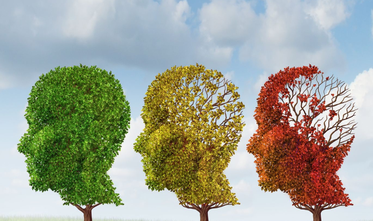 Inadequate vitamins and DHA has implications for brain aging and Alzheimer-type dementia