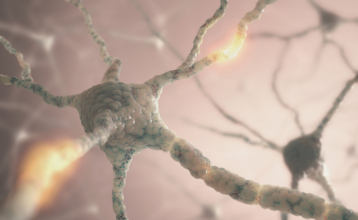 Mysterious Group of Neurons Responsible for Mood Develop During Teen Years