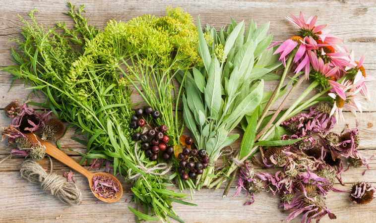 How to be Smart About the Herbal Products You Buy