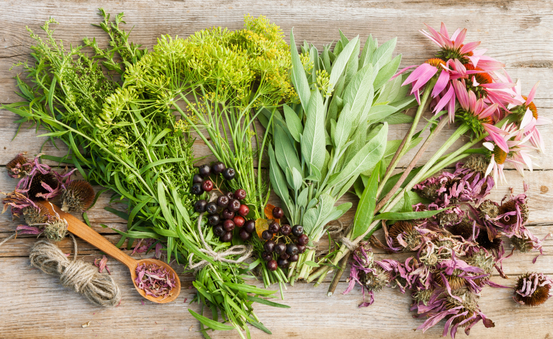 How to be Smart About the Herbal Products You Buy