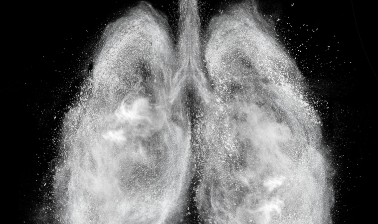 Lung-Inspired Method Turns Water into Fuel