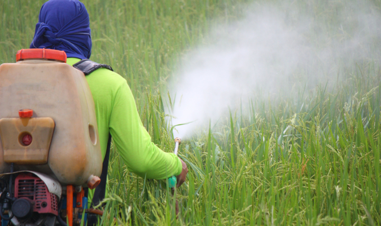 Pesticides As Bad As Cigarettes For Children’s Lungs