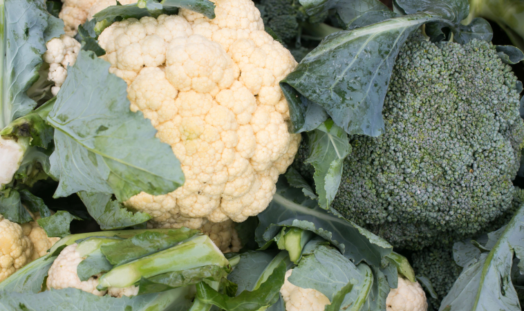 Cruciferous Vegetables for Cancer Prevention