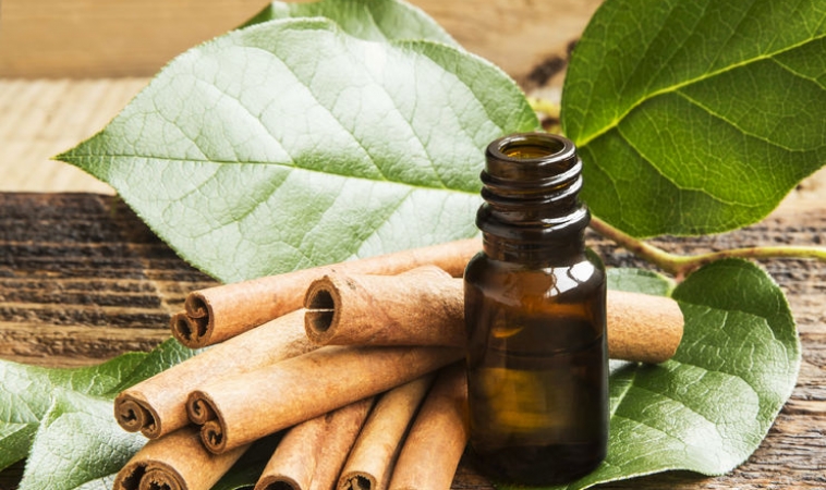 The Healing Scents of Fall & A New Mechanism of Essential Oil Respiratory Protection- The Lung Microbiome: Part II