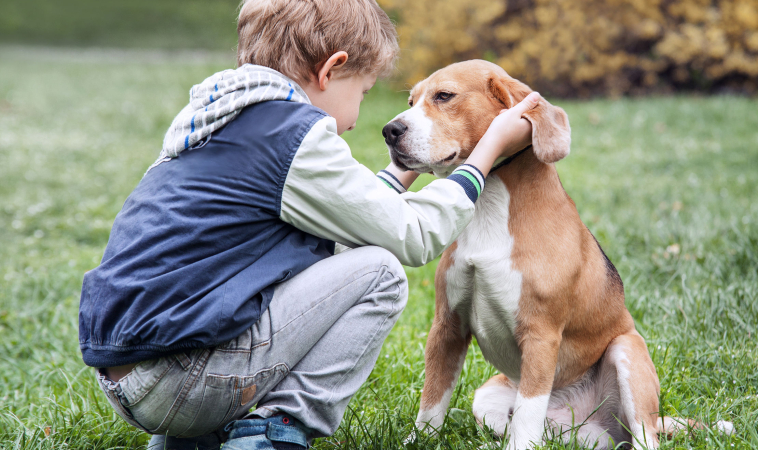 Early Exposure to Dogs and Farm Animals Reduces Risk of Childhood Asthma 