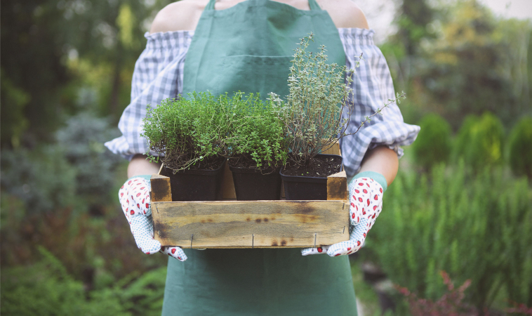 7 Health Benefits of Gardening