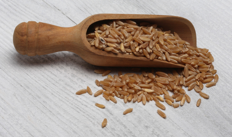 Khorasan Wheat-Based Diet For Acute Coronary Syndrome