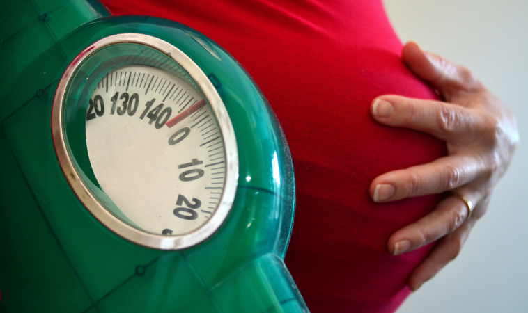 Obese Women May Not Require Extra Calories During Pregnancy