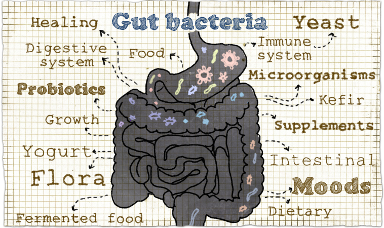 The One Molecule that Causes Leaky Gut