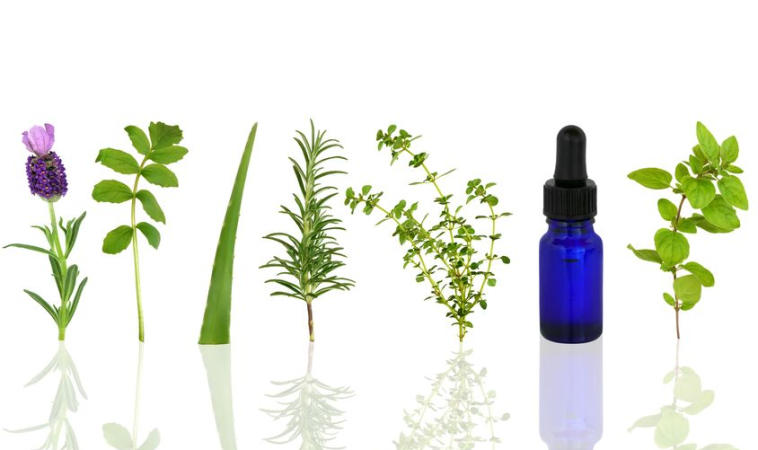 Oregano essential oil can fight Staphylococcus