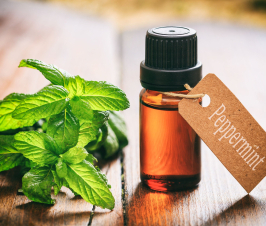 Peppermint for Dysphagia