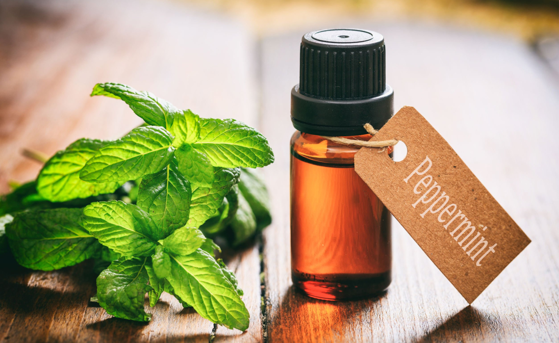 Peppermint for Dysphagia