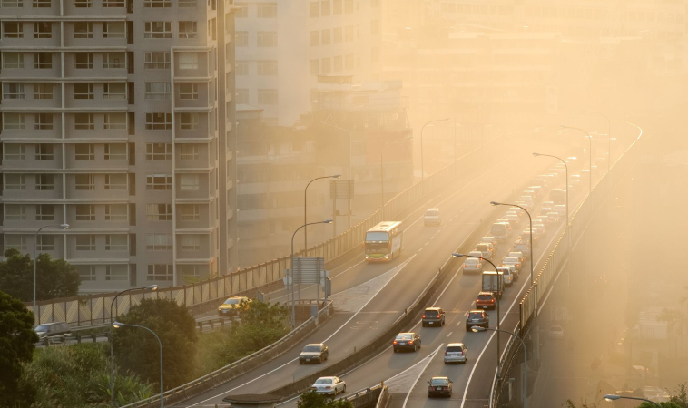 Is There a Link Between Suicide Completion and Air Pollution? 