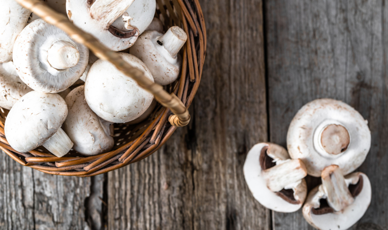 White Button Mushrooms Could Help Improve Glucose Regulation