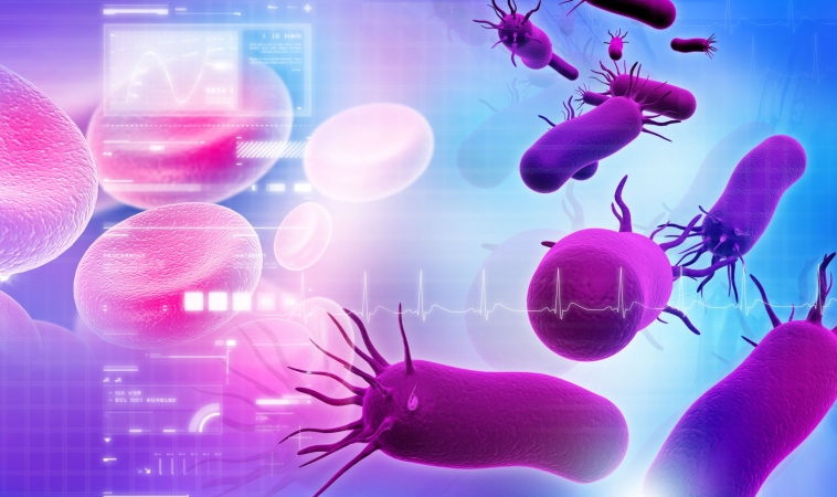 Our Belly Bugs May Produce Helpful or Harmful Metabolites to Modulate Cancer