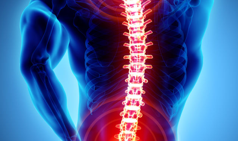A New Treatment May Allow for Use of Hands and Arms After Spinal Cord Injury